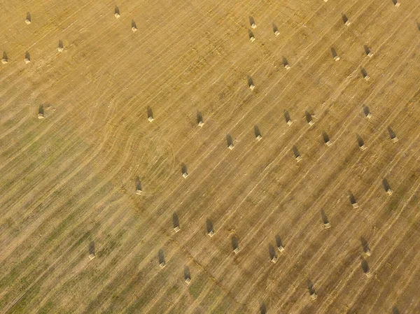 Vista Drone Campo Agrícola Feito Fardos Grandes Redondos Amarelos Após — Fotografia de Stock