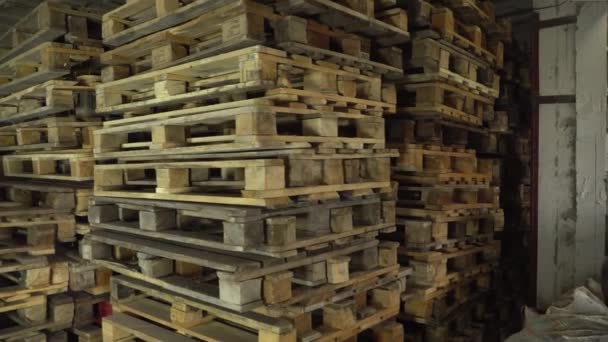 Paletes européias de madeira para a transferência de bens aos clientes. Utilizado em stock. — Vídeo de Stock