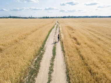 Güneşli bir yaz gününde, tarlanın ortasında bisiklet süren genç bir kadının uzaktan kumandalı görüntüsü arkadan görülüyor.