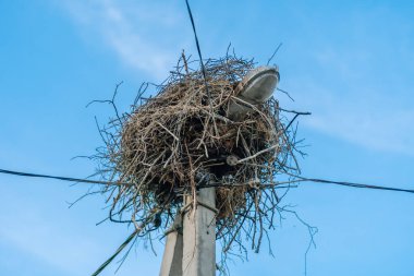Elektrik direğindeki leyleklerin yuvası dağınık bulutlu mavi gökyüzüne yakın çekim