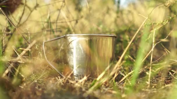 Mano di una donna lascia cadere una bustina di tè in una tazza di metallo in natura. — Video Stock