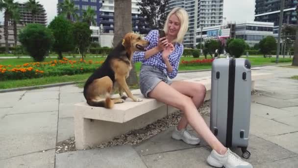 Una mujer guapa con una maleta gris está sentada en un banco del parque. perro — Vídeos de Stock