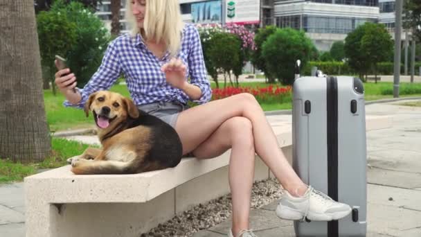Красивая женщина с серым чемоданом сидит на скамейке в парке. собака — стоковое видео