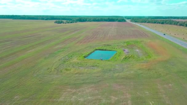 Pai e filho estão pescando na lagoa no meio do campo. Tiro de drone. — Vídeo de Stock