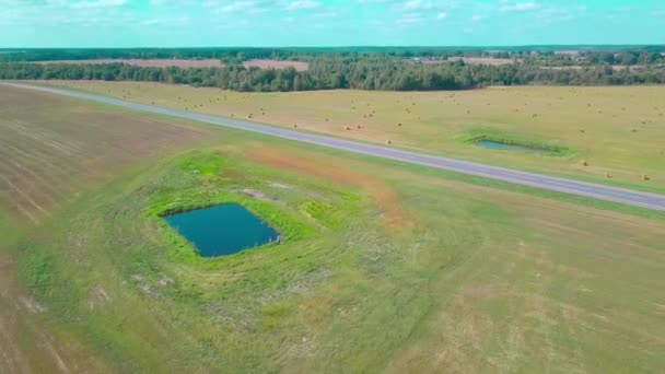 Pai e filho estão pescando na lagoa no meio do campo. Tiro de drone. — Vídeo de Stock
