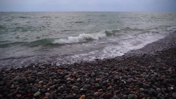 Närbild av en stenstrand på kvällen. Havet vid solnedgången. — Stockvideo