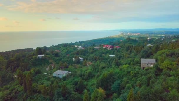 Drohnenbewegung entlang der Küste des Meeres und des grünen Waldes, eines Dorfes oder Dorfes — Stockvideo