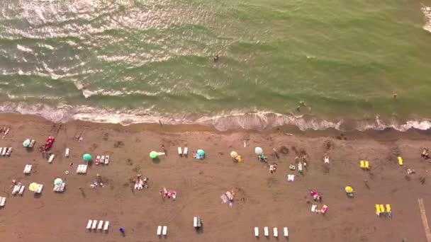 Кадри з чорного піщаного пляжу в Джорджії, — стокове відео