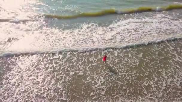 Střílející z dronu, žena vstupuje do moře a raduje se. štěstí. — Stock video