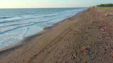Bir dron fırtınadan sonra dallarla ve molozlarla dolu bir plajın üzerinde hızla uçar.