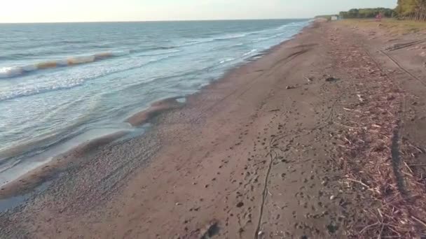 Um drone voa rapidamente sobre uma praia cheia de galhos e detritos após tempestade — Vídeo de Stock