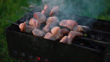 Gölün kıyısındaki piknik sırasında mangal mangal mangalında kömürlerin üzerinde ızgara yapan leziz domuz şiş kebap. Açık havada salamura edilmiş et pişerken dumanlar yükseliyor.