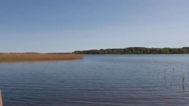 Güzel, sakin bir göl manzarası. Mavi su, berrak bir gökyüzünün altında dalgalanır. Huzurlu, güneşli bir günde kıyıda kuru sazlıklar ve ufukta yeşil bir orman bulunur.