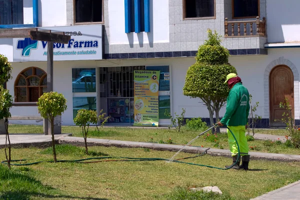 New Chimbote Peru April 2018 Εργαζόμενος Ποτίζει Γρασίδι Που Βρίσκεται — Φωτογραφία Αρχείου