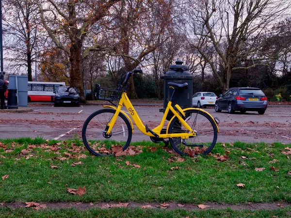 London Großbritannien Dezember 2018 Gelbes Ofo Leihfahrrad Battersea Park London — Stockfoto