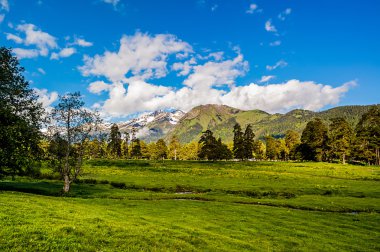 Pastoral dağ manzarası