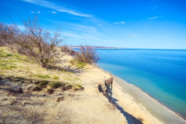 Denizden yamaca ağaç