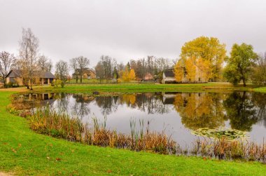 Letonya kırsalında. Gauja Ulusal Parkı, Sigulda, Letonya 'da güzel bir sonbahar manzarası