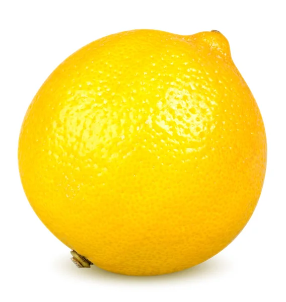 Isolierte Zitrone Eine Ganze Zitrone Zitrusfrucht Isoliert Auf Weißem Hintergrund — Stockfoto