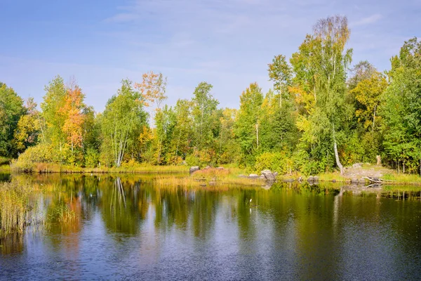 Sonbaharda gölü olan güzel bir manzara. Vuoksa Gölü - Rusya 'nın Leningradskaya Oblastı' nda güzel bir göl