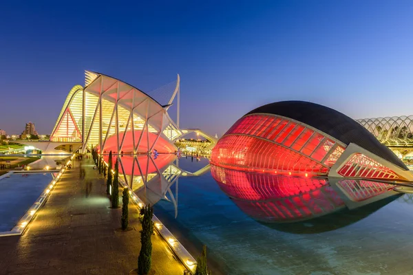 バレンシア スペイン 2020年1月5日 バレンシアの観光 芸術科学都市の近代建築 美しい夜景 ロイヤリティフリーのストック写真