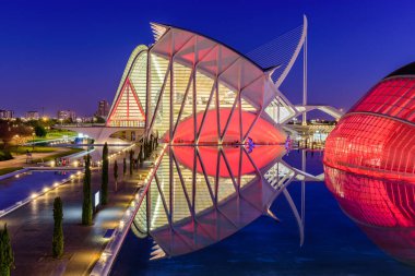 Valencia, İspanya - 5 Ocak 2020 Valencia manzarası. Sanat ve Bilim Şehri 'nin Modern Mimarisi, güzel gece manzarası.