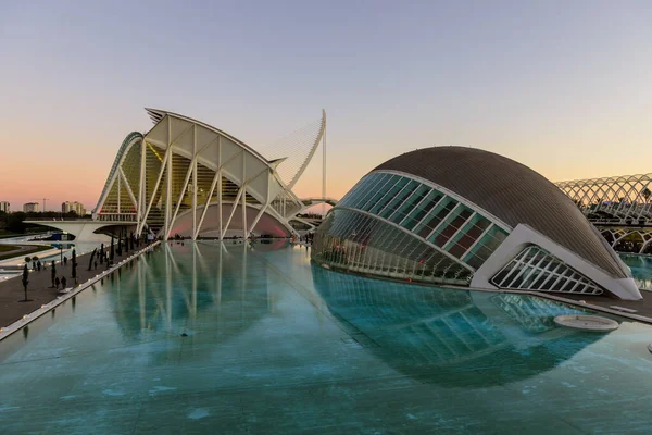 Valencia Spanya Ocak 2020 Valencia Manzarası Sanat Bilim Şehri Nin — Stok fotoğraf