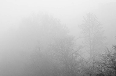 Sisli ortam arkaplanı, sisli gün