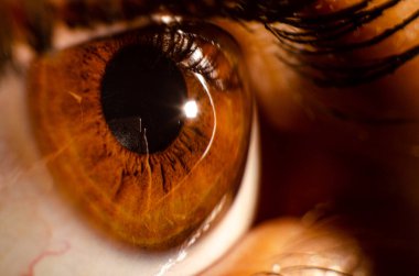 İnsan gözünün güzel makro fotoğrafı