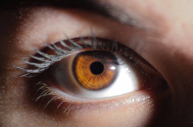 İnsan gözünün güzel makro fotoğrafı