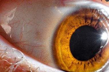 İnsan gözünün güzel makro fotoğrafı