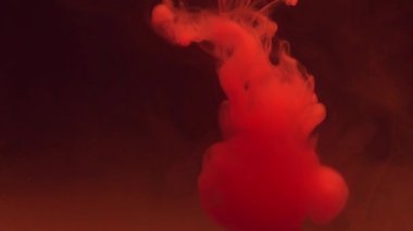 Renkli kırmızı boya damlaları suya karışıyor. Yumuşak mürekkep suyun altından kıvrılıp sıçrıyor. Kırmızı arkaplanda mürekkep bulutu izole edildi. Renkli soyut duman patlaması