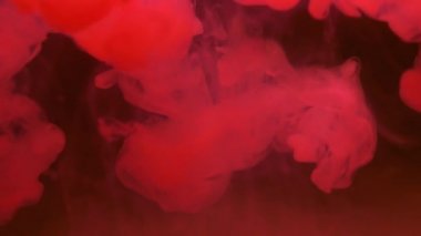 Renkli kırmızı boya damlaları suya karışıyor. Yumuşak mürekkep suyun altından kıvrılıp sıçrıyor. Kırmızı arkaplanda mürekkep bulutu izole edildi. Renkli soyut duman patlaması