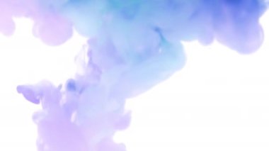 Renkli mor ve mavi boya damlaları suya karışıyor. Yumuşak mürekkep suyun altından kıvrılıp sıçrıyor. Beyaz arka planda mürekkep bulutu izole edildi. Renkli soyut duman patlaması