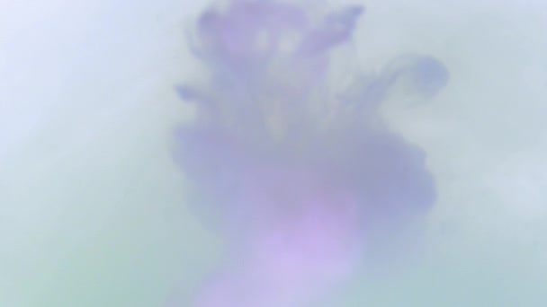 Des Gouttes Peinture Violettes Bleues Colorées Mélangeant Dans Eau Encre — Video