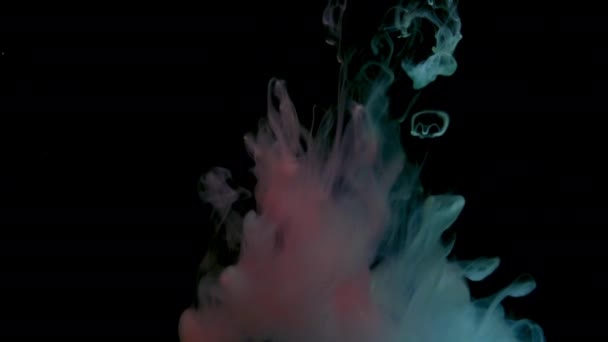 カラフルな赤と青の塗料は 水に混合ドロップします 滑らかなインクが渦巻くと水中から飛び散る 黒い背景に孤立したインク雲 抽象的な煙爆発の色 — ストック動画