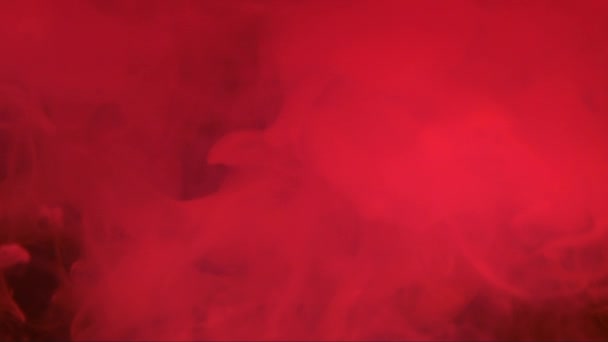 カラフルな赤い塗料は 水に混合低下します 滑らかなインクが渦巻くと水中から飛び散る 赤色の背景に孤立したインク雲 抽象的な煙爆発の色 — ストック動画