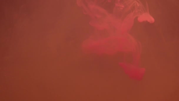 Красочные Красные Капли Краски Смешиваются Воде Гладкие Чернила Кружатся Брызгаются — стоковое видео