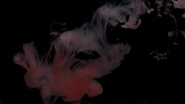 カラフルな赤い塗料は 水に混合低下します 滑らかなインクが渦巻くと水中から飛び散る 黒い背景に孤立したインク雲 抽象的な煙爆発の色 — ストック動画