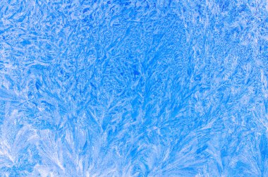 buz kalıpları penceresinde