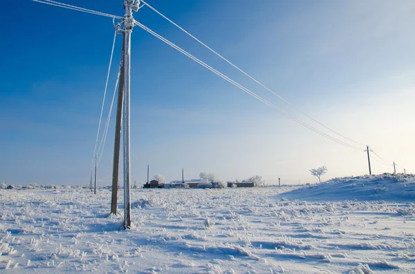 Linea elettrica in hoarfrost — Foto Stock