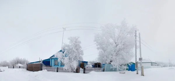 Árvore em geada fazenda rua panorama no inverno — Fotografia de Stock