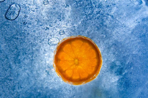 Tranche d'orange dans la glace — Photo