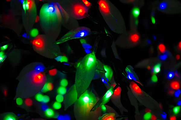 Colorful blurred lights background — Stock Photo, Image