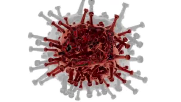 Rendering Corona Virus Covid Pandemi — Stockvideo