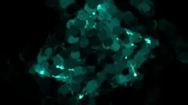 Dijital Oluşturma Yüksek Enerji Canlı Güzel Arkaplan