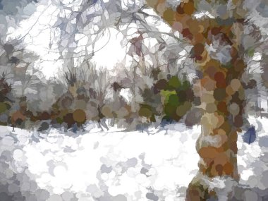 Karla kaplı Ağaç Dalları