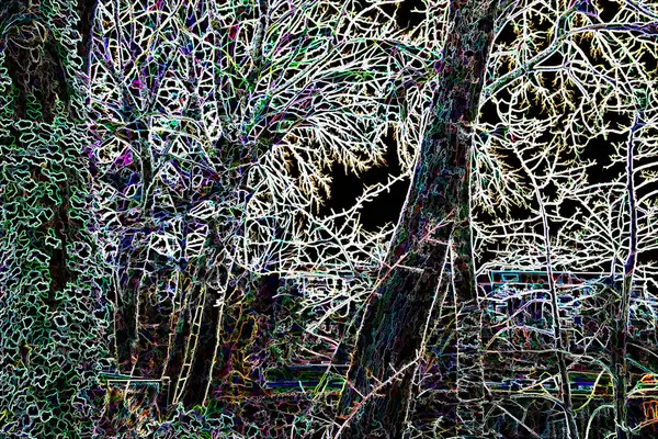 Digitale Illustratie Abstracte Bomen Takken Een Park Achtergrond — Stockfoto