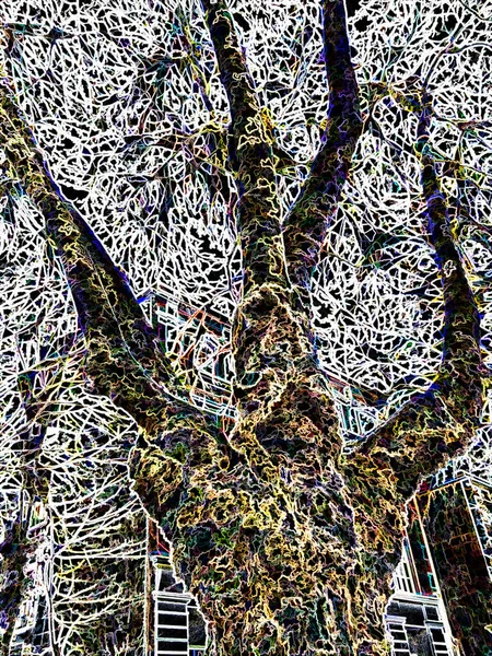 Digital Illustration Trees Postcard Background Effect — Stock Photo, Image