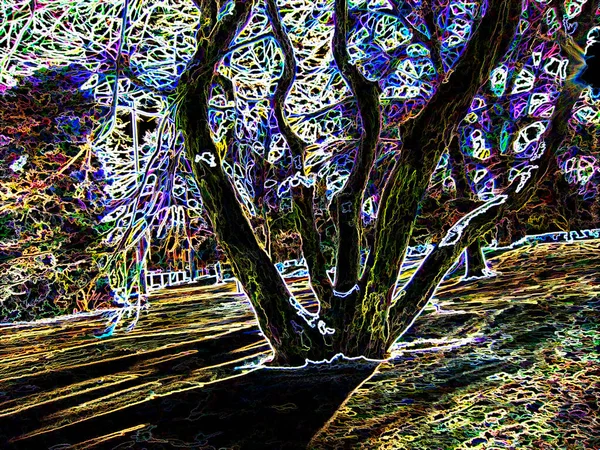 Alberi Illustrazione Digitale Effetto Sfondo Cartolina — Foto Stock